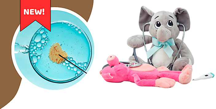 Nou la Baby Boom Show: Fertility Zone şi evenimente de top pentru clinici medicale!