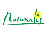 naturalis-logo-156x112px