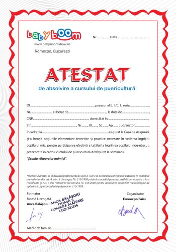atestat_BBS_SVM-1-Copy.page1_
